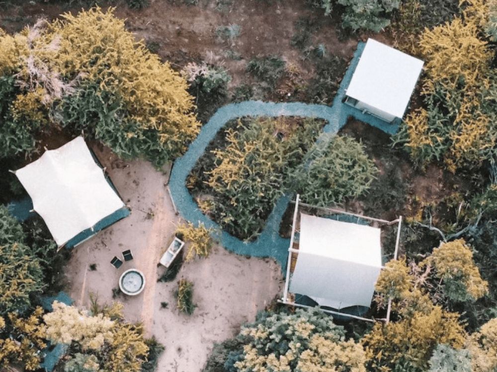 The Leadwood Safari Camp